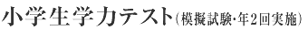 小学ぜんけん模試(模擬試験・年2回実施)
